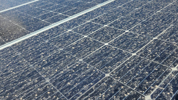 Before and after solar panel cleaning